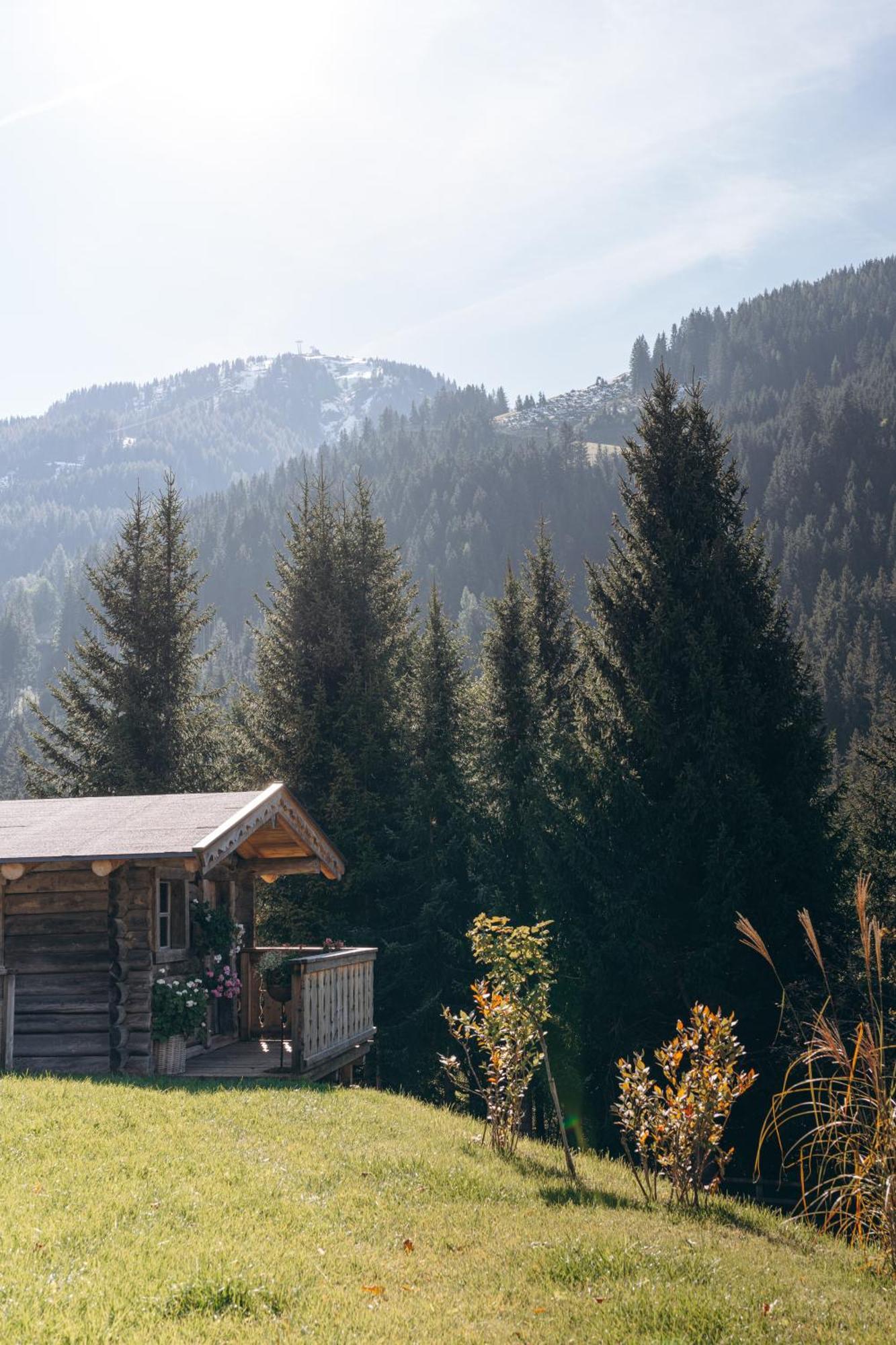Bed and Breakfast Haus Spieleck Saalbach-Hinterglemm Exterior foto